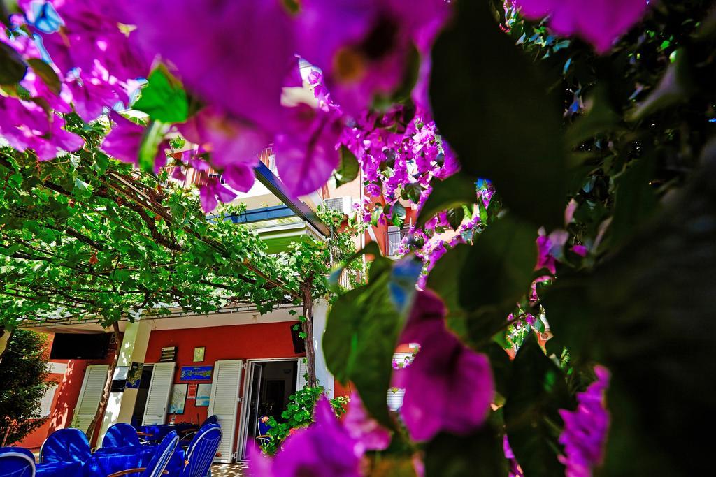 Guest house Bojana